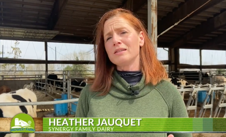 Pulaski dairy participates in adopt a calf program for students