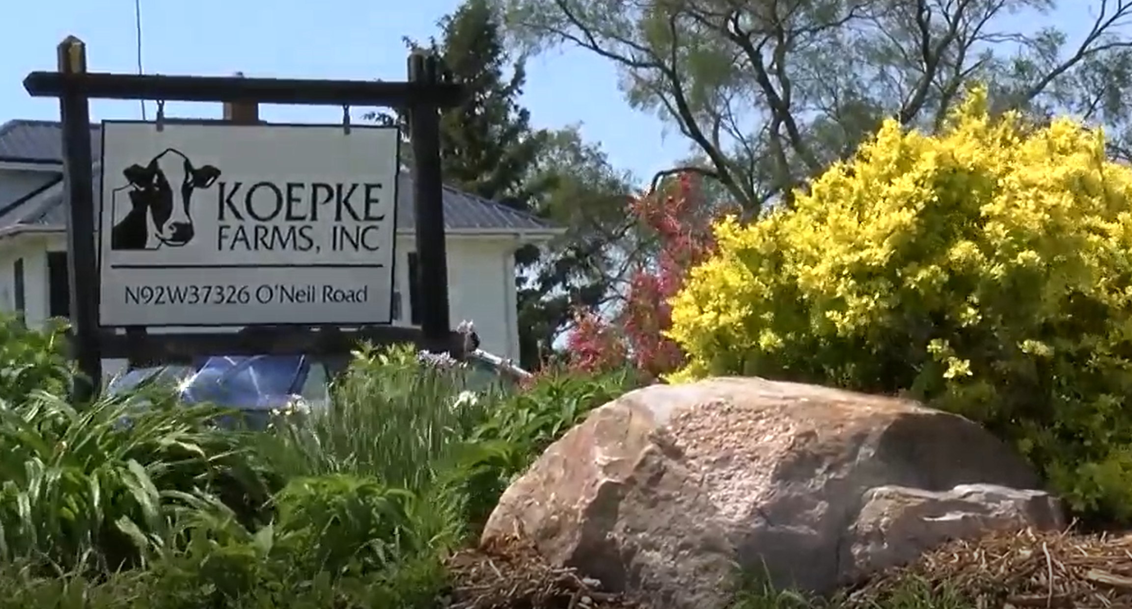 Dairy farms in transition