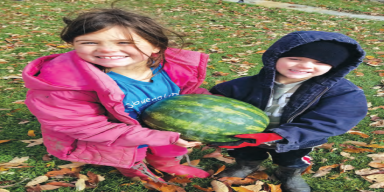 From a hobby, to a necessity, to a business.