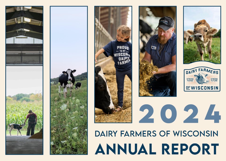 annual report 2024 cover