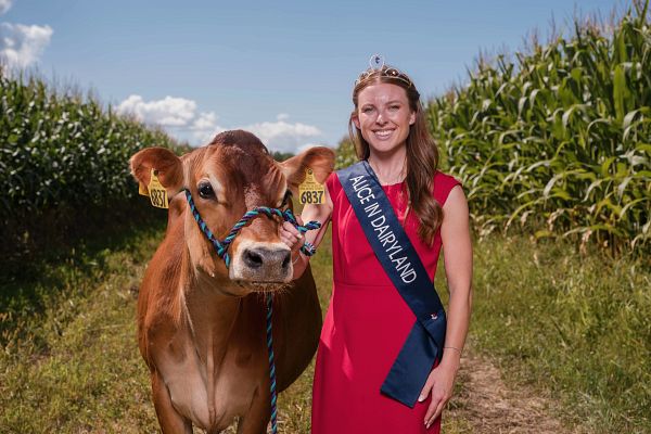 Alice in Dairyland with cow