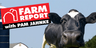 WI Farm Report Radio Network: Pam Jahnke’s Interview with DFW CEO, Chad Vincent
