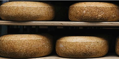 Saveur Magazine: The Fresh Face of Wisconsin’s Artisan Cheese
